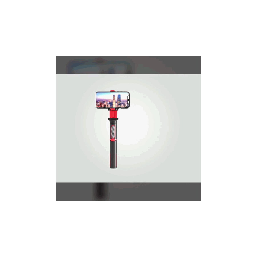 Multi-Device Motion Movie Stabilizer & Selfie Stick