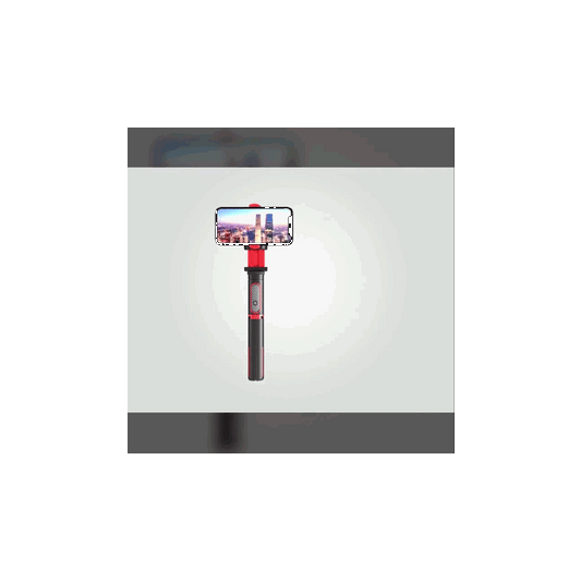 Multi-Device Motion Movie Stabilizer & Selfie Stick