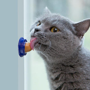 Tasty Cat Catnip Treat<br><img src="https://cdn.shopify.com/s/files/1/2575/6154/files/cat-stamp-approved2_75x75.png?v=1573238900"/>